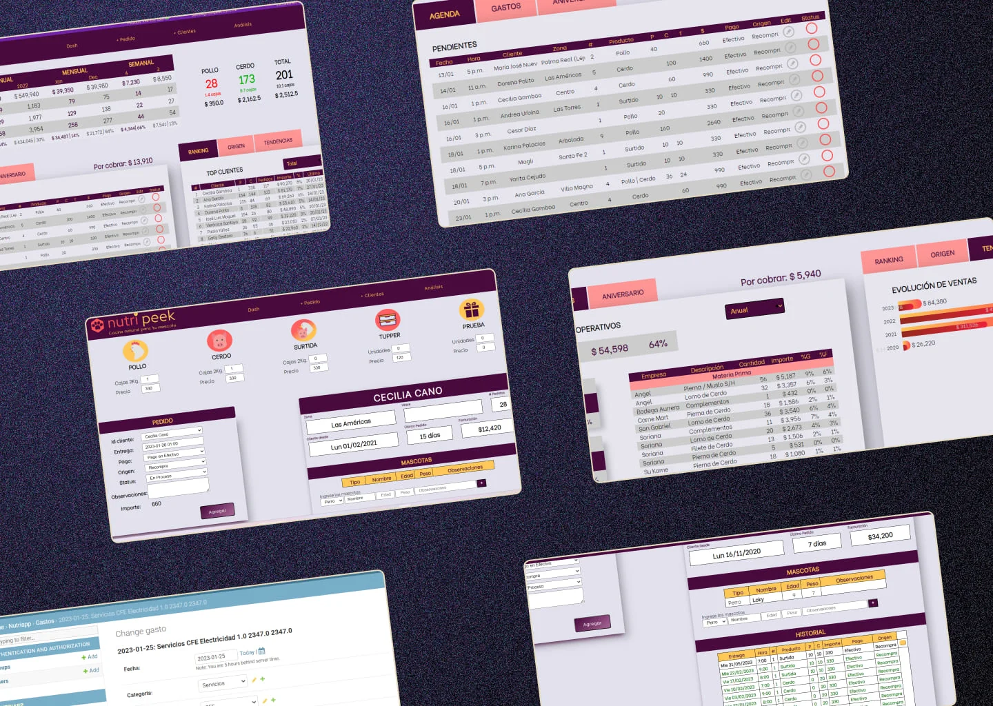Interactive Dashboards