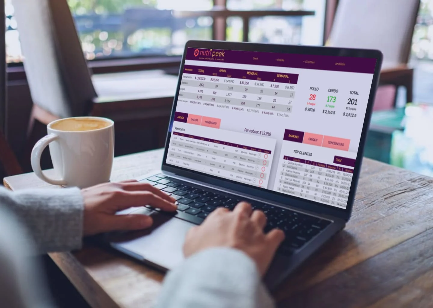 Management Software (ERP)