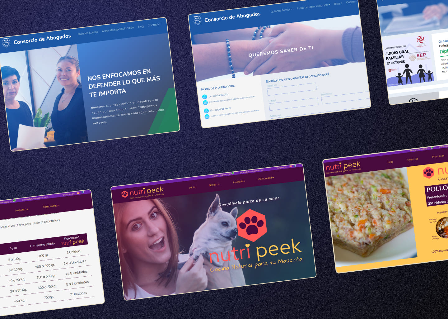 Desarrollo Web Profesional